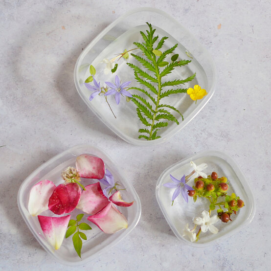 botanical-ice-blocks_step2.jpg?sw=554&q=85