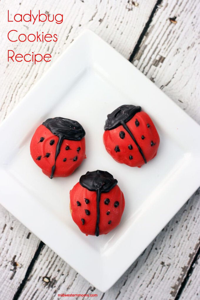 ladybug-cookies-recipe.jpg?sw=680&q=85