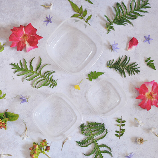 botanical-ice-blocks_step1.jpg?sw=554&q=85