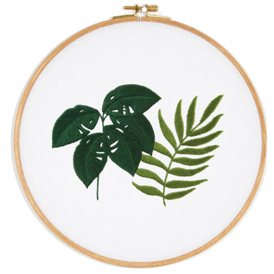 botanical-fern.jpg?sw=554&q=85