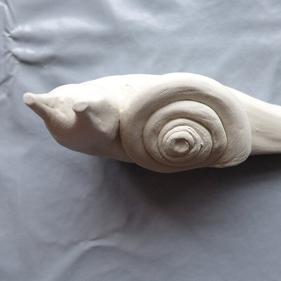 air-drying-snails-photo1.jpg?sw=554&q=85