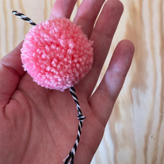 pom-pom-bat-2b.jpg?sw=554&q=85