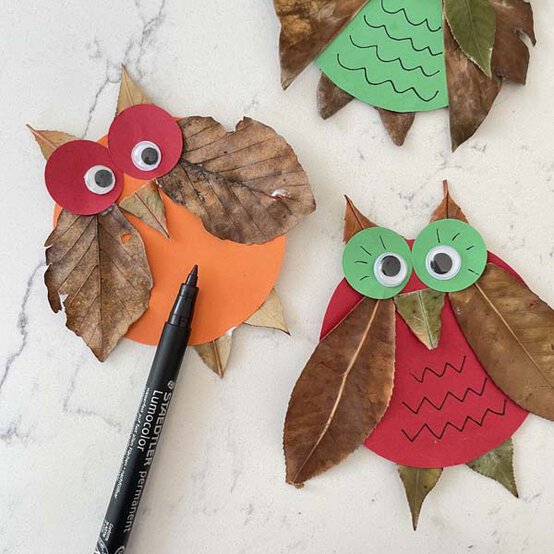 owls3b.jpg?sw=554&q=85