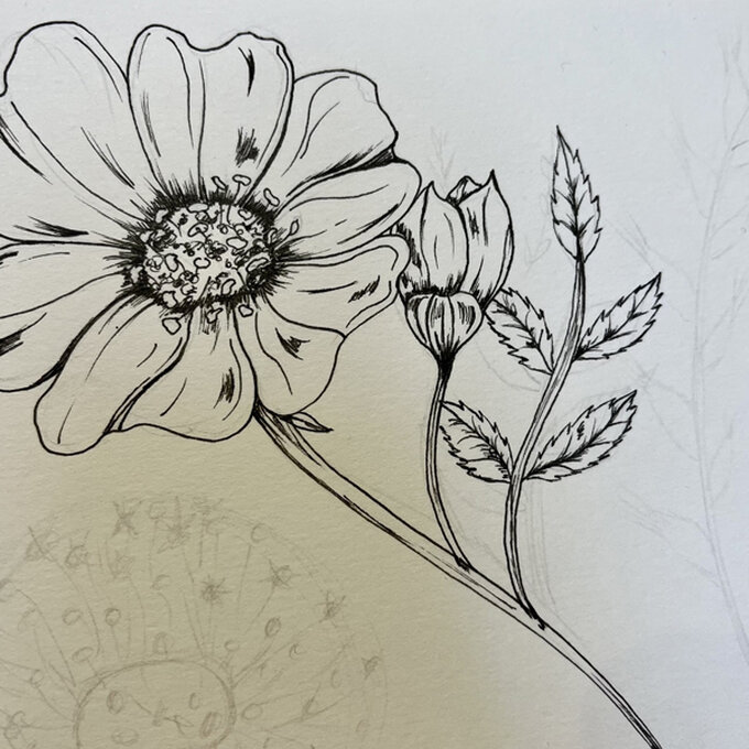 idea_how-to-draw-botanical-illustrations-dogrose_step8.jpg?sw=680&q=85