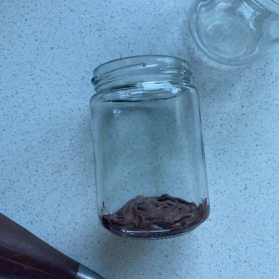 Idea_how-to-make-terrarium-cake-jars_step6a.jpg?sw=554&q=85