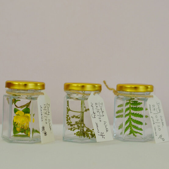 botanical-jars-group2.jpg?sw=554&q=85