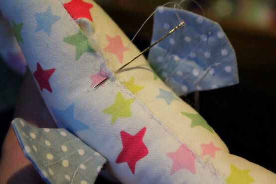 seahorse-14.jpg?sw=554&q=85