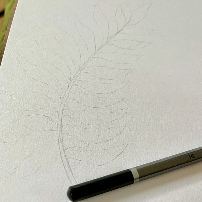 idea_how-to-draw-botanical-illustrations-fern_step2b.jpg?sw=680&q=85