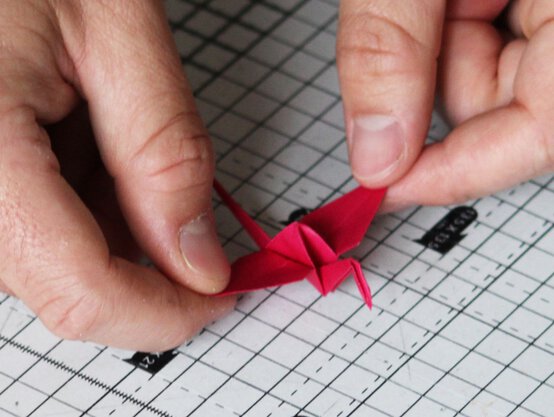 img_7395_edit.jpg?sw=554&q=85