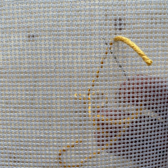 beginner-bargello_step-2_2.jpg?sw=554&q=85