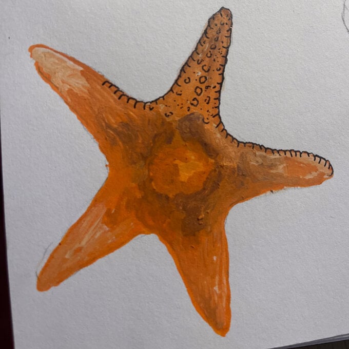 idea%5Fhow%2Dto%2Dillustrate%2Dwith%2Dpaint%2Dmarkers%2Dstarfish%5Fstep7.jpg?sw=680&q=85