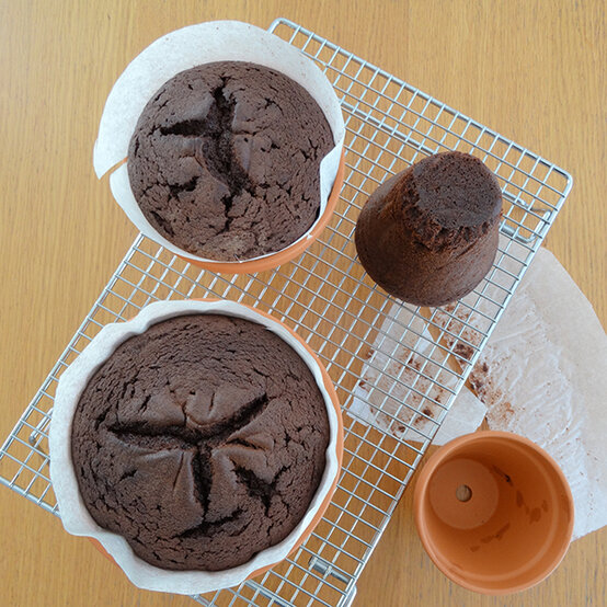 plant-pot-bunny-cake-4.jpg?sw=554&q=85