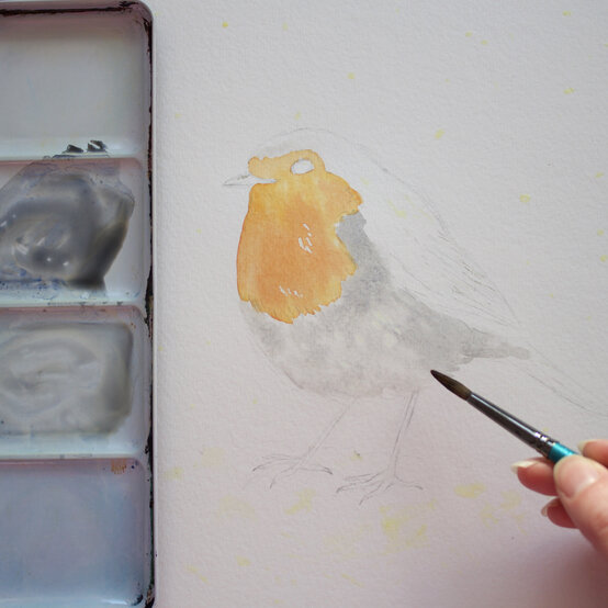 paint_a_watercolour_robin_painting_step_4.jpg?sw=554&q=85