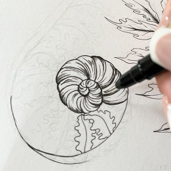 idea_how-to-draw-botanical-illustrations-fern2_step5c.jpg?sw=680&q=85