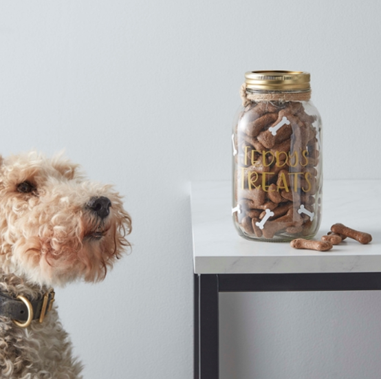 cricut-how-to-make-a-personalised-pet-treat-jarsquare.png?sw=554&q=85
