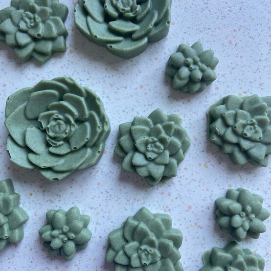 Idea_how-to-make-terrarium-cake-jars_step7a.jpg?sw=554&q=85