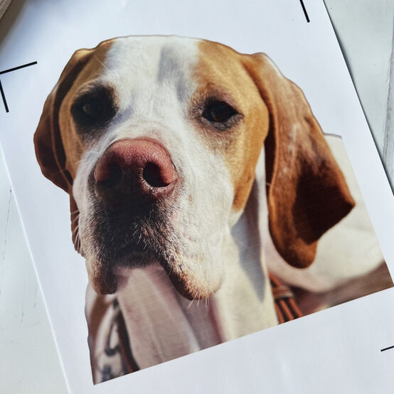 idea_personalised-photo-cushion_step3.jpg?sw=554&q=85