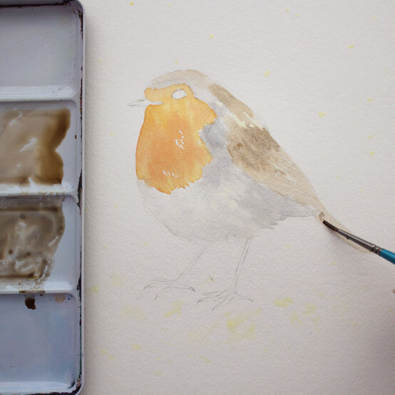 paint_a_watercolour_robin_painting_step_5.jpg?sw=554&q=85