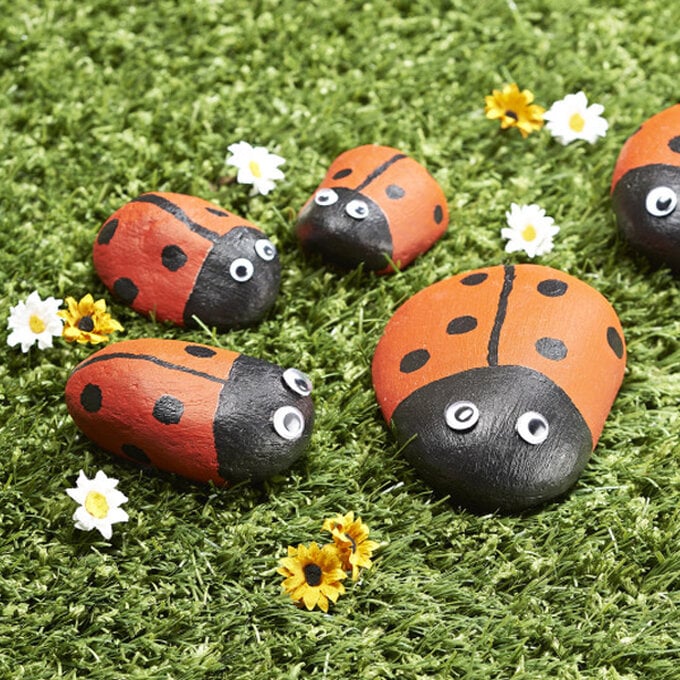 ladybird-rock-pets.jpg?sw=680&q=85