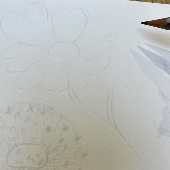 idea_how-to-draw-botanical-illustrations-dogrose_step1b.jpg?sw=554&q=85