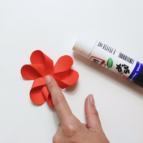 poppy_step3-600-x-600.jpg?sw=554&q=85