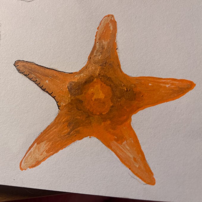 idea%5Fhow%2Dto%2Dillustrate%2Dwith%2Dpaint%2Dmarkers%2Dstarfish%5Fstep6.jpg?sw=680&q=85