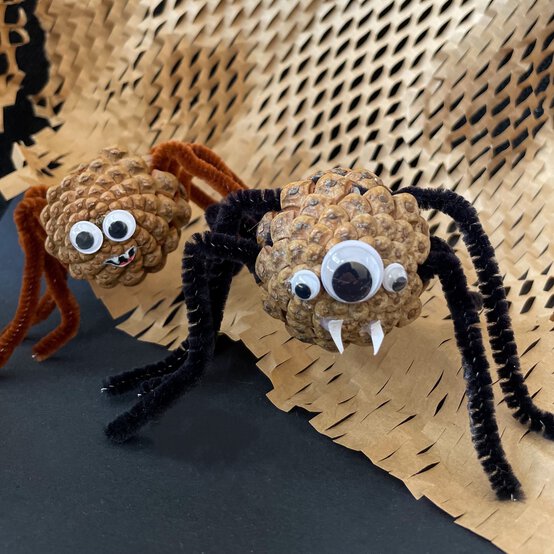 sustainable-pinecone-spider-3.jpeg?sw=554&q=85