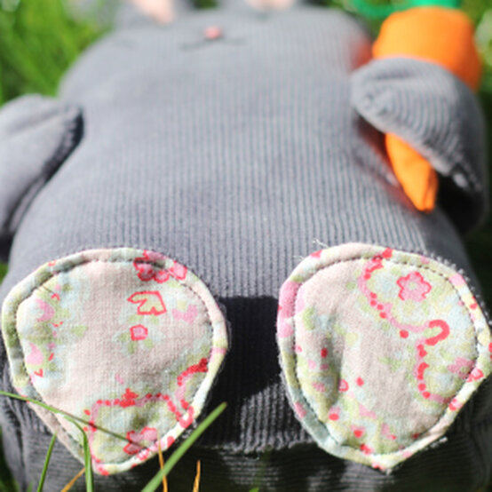 bunny-8.jpg?sw=554&q=85