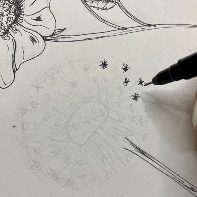 idea_how-to-draw-botanical-illustrations-dandelion_step8a.jpg?sw=680&q=85