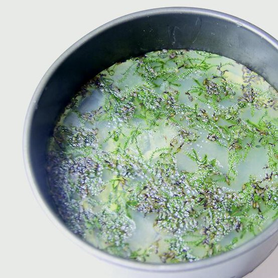 scented-soaps-step4.jpg?sw=554&q=85