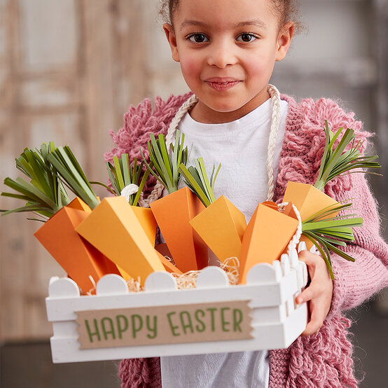 carrot-treat-boxes_lifestyle.jpg?sw=554&q=85