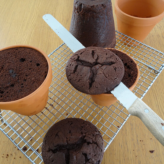 plant-pot-bunny-cake-7.jpg?sw=554&q=85