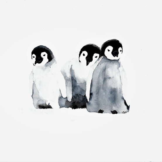 artisan-lisa-kavanagh-penguin-artwork.jpg?sw=554&q=85