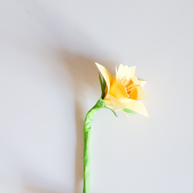 Cricut: 5 Ways to Make Paper Flowers | Hobbycraft