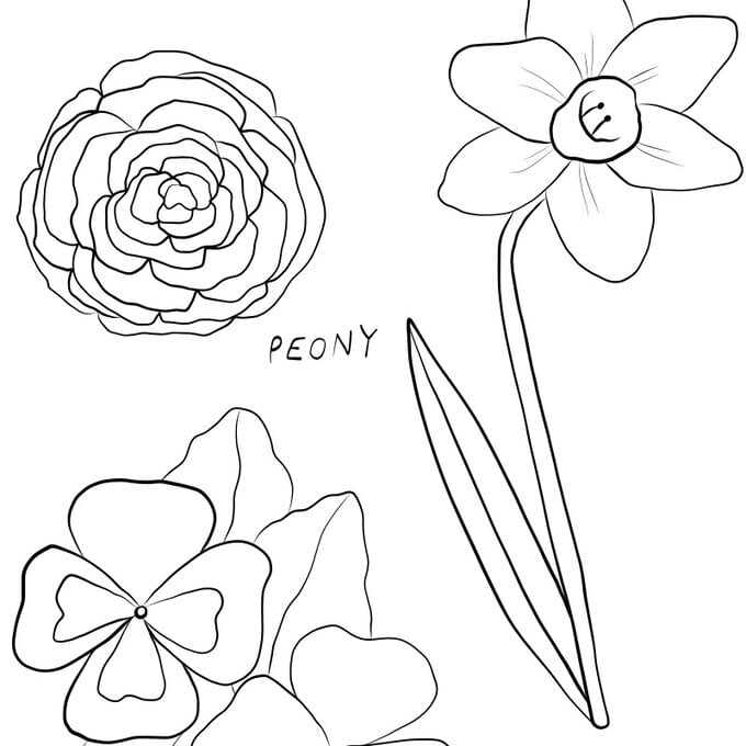 spring-flowers-colouring-download-katie-bennett-hobbycraft.jpg?sw=680&q=85