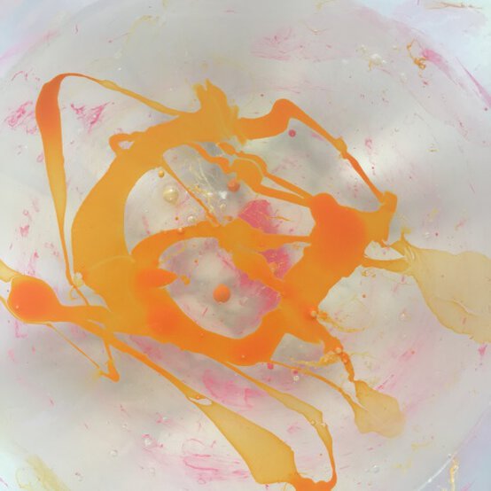 skull-2.jpg?sw=554&q=85