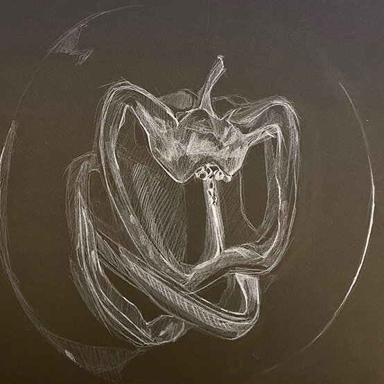 PAINT-BLACK-CANVAS-3.jpg?sw=554&q=85