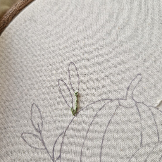 idea%5Fautumn%2Dembroidery%2Dprojects%2Dto%2Dtry%2Dhoop%5Fstep%2D25.jpg?sw=554&q=85