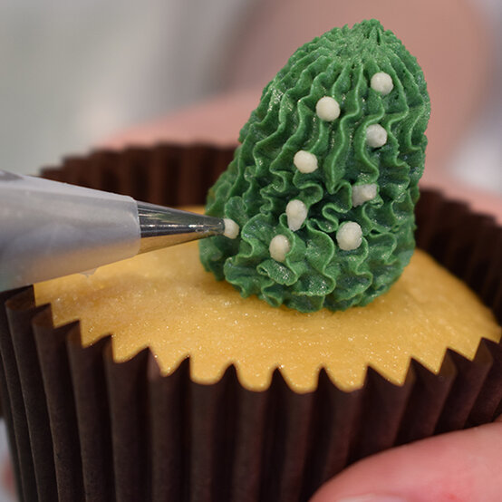 cactus-cupcakes-renshaw-1.jpg?sw=554&q=85