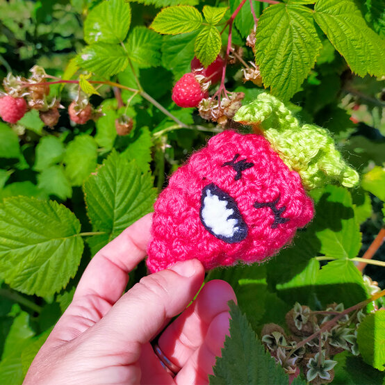 artisan-anita-bayliss-crochet-rasberry.jpg?sw=554&q=85