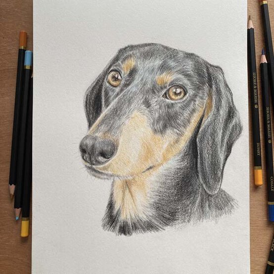 ideas%5Fhow%2Dto%2Ddraw%2Da%2Ddachsund%5Ffinished.jpg?sw=554&q=85