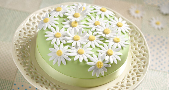 daisy-cake-cover.jpg?sw=554&q=85