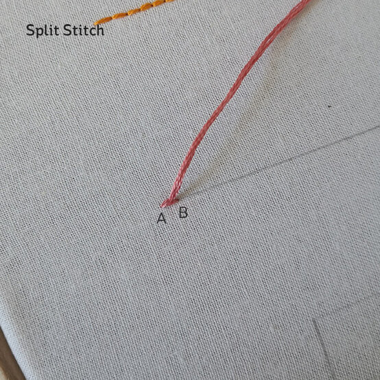 sps-c.jpg?sw=554&q=85