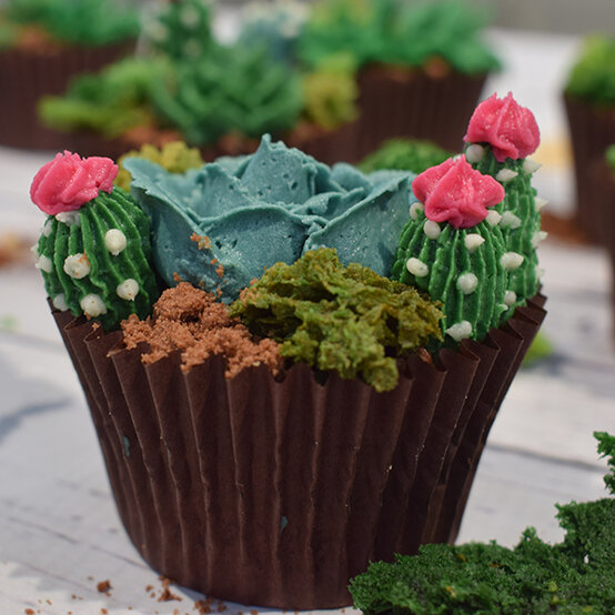 cactus-cupcakes-renshaw-4.jpg?sw=554&q=85