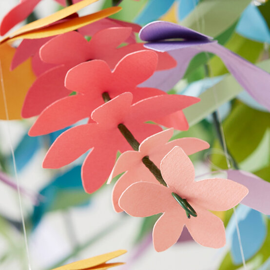 pansy-1.jpg?sw=554&q=85