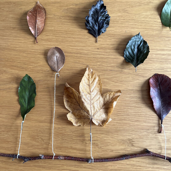 Idea_how-to-make-an-autumn-leaf-hanging_step2a.JPG?sw=554&q=85