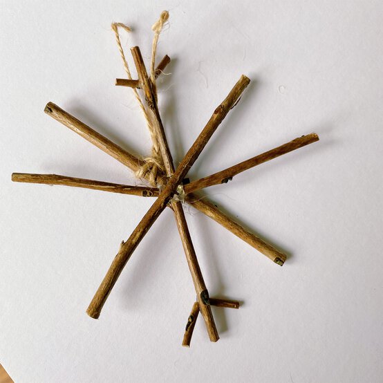 how_to_make_natural_decorations_step_3.jpg?sw=554&q=85