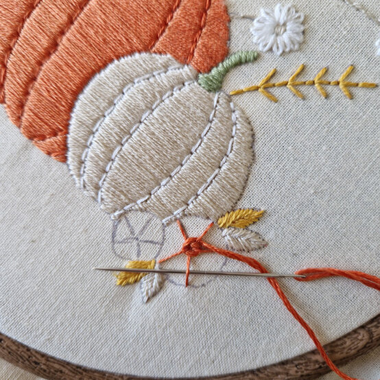 idea%5Fautumn%2Dembroidery%2Dprojects%2Dto%2Dtry%2Dhoop%5Fstep%2D03.jpg?sw=554&q=85