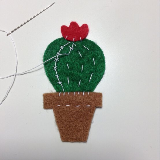 cactus-3.jpg?sw=554&q=85