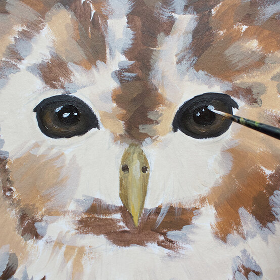 how_to_paint_acrylic_owl_eyes_detail_6-1000-pixels.jpg?sw=554&q=85